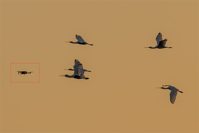 d10a89e327c21d9ffdbb03acb4a7e8a0.png