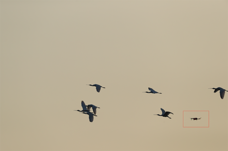 69d281405940f28c8f678708e4c3bfbd.png
